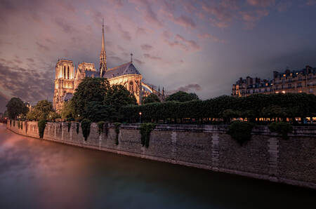 NOTRE DAME DE PARIS 2018