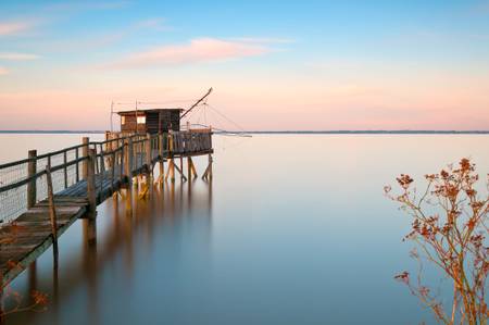 Droombruin Droombruin