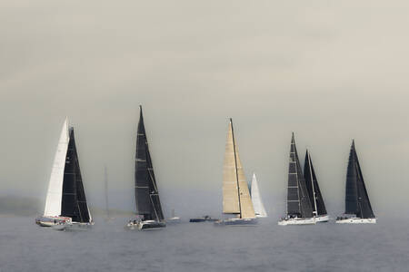 Flotilla fantasma