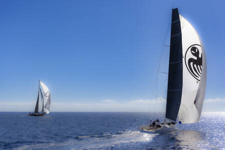 Les Voiles de Saint Tropez 2024-1