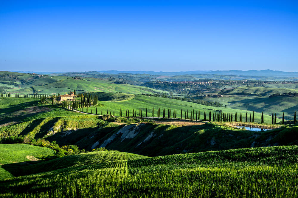TOSCANY - 0755