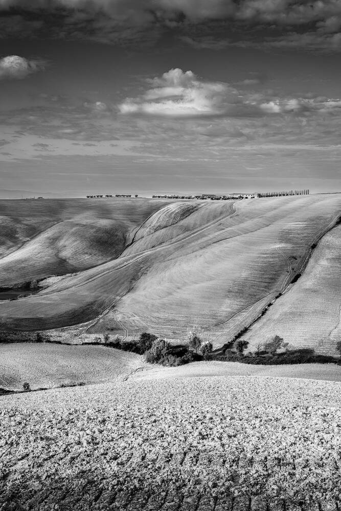 TOSKANA - 2339NB Bild - Kaufen / Verkaufen
