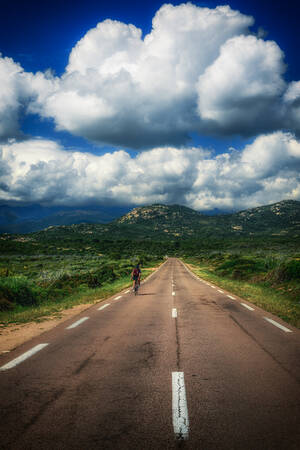 CORSICA - 1136 CORSICA - 1136