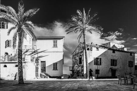 CORSICA - 1620NetB CORSICA - 1620NetB