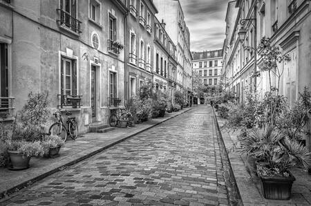 Paris - Rue Crémieux 0443NB