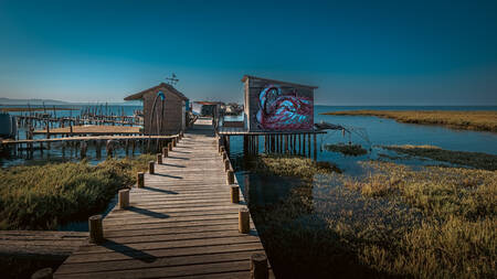 Portugal-3137 Poster Portugal-3137 Poster