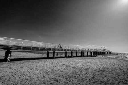 TOSCANA - 0081NB TOSCANA - 0081NB