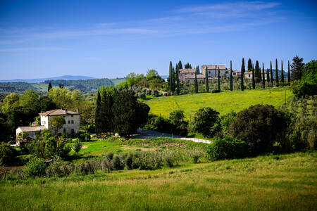 TOSCANY - 0147 TOSCANY - 0147