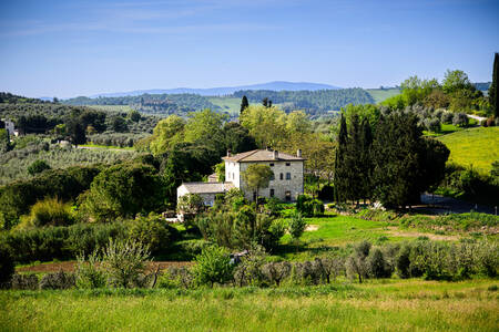TOSCANY - 0148 TOSCANY - 0148
