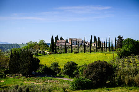 TOSCANY - 0149 TOSCANY - 0149