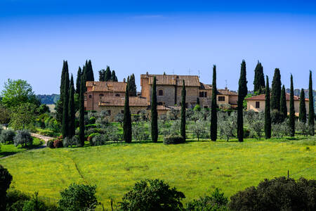 TOSCANY - 0152 TOSCANY - 0152