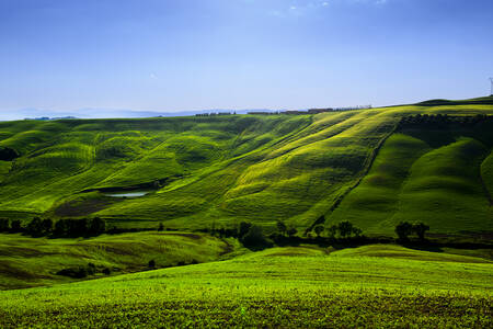 TOSCANY - 0668 TOSCANY - 0668