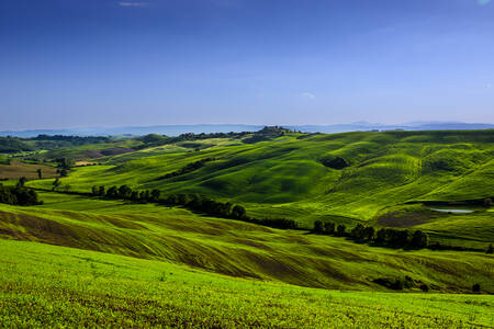 TOSCANY - 0669 TOSCANY - 0669