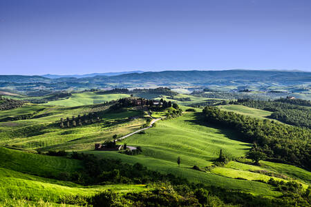 TOSCANY - 0691 TOSCANY - 0691