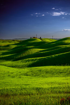 TOSCANY - 0711 TOSCANY - 0711