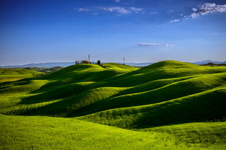 TOSCANY - 0715 TOSCANY - 0715