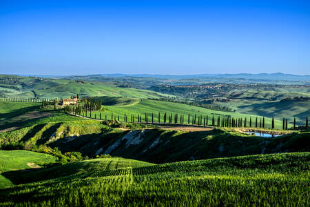 TOSCANY - 0755 TOSCANY - 0755