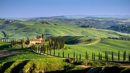 TOSCANY - 0756 TOSCANY - 0756