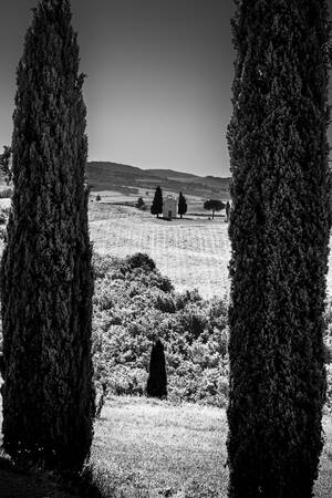 TOSCANA - 0786NB TOSCANA - 0786NB