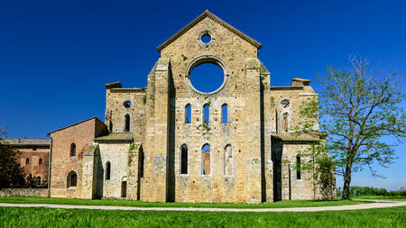 TOSCANY - 0817 TOSCANY - 0817