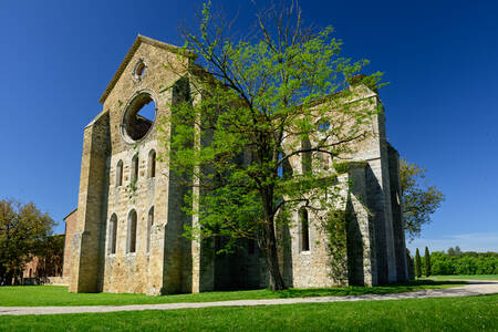 TOSCANY - 0851 TOSCANY - 0851