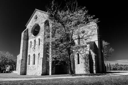 TOSKANA - 0851NB TOSKANA - 0851NB