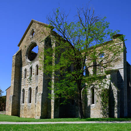 TOSCANY - 0852 TOSCANY - 0852