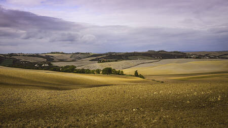 Tuscany - 2222