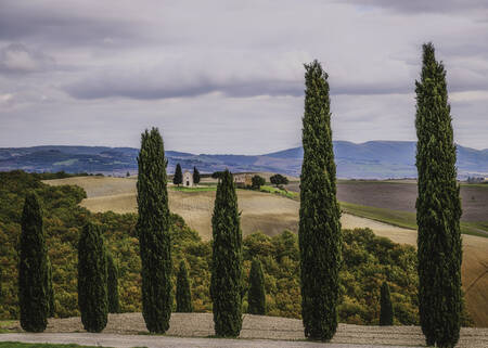 Tuscany - 2227
