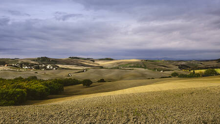 Tuscany - 2228