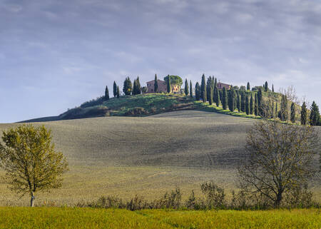 Tuscany - 2244