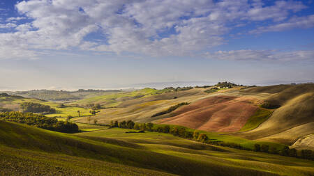 Tuscany - 2333