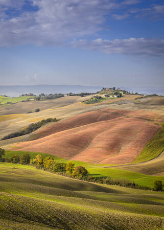 Tuscany - 2342
