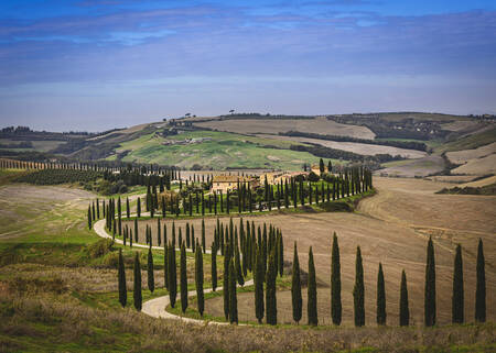 Tuscany - 2376