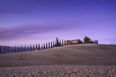 Tuscany - 2471