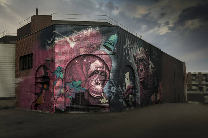 Cergy-Graffitis -3370 Cergy-Graffitis -3370