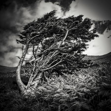 Aeolus andedräkt Aeolus andedräkt