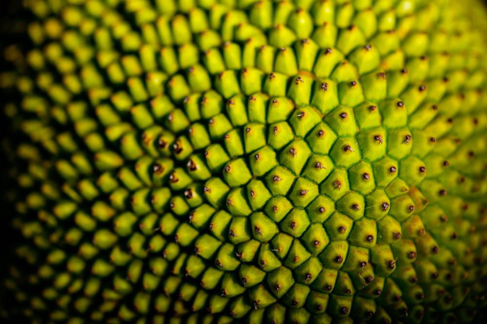 Oändligt ti jacques