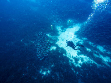 Migliaia di anfore sottomarine Migliaia di anfore sottomarine