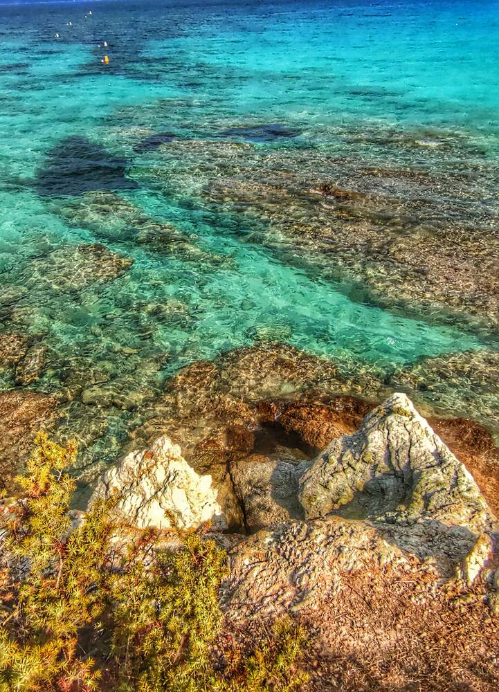 Cap corse désert des Agriates