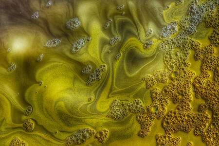 water- en zandbel Camargue water- en zandbel Camargue