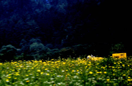 De madeliefjes van Ayrton Senna