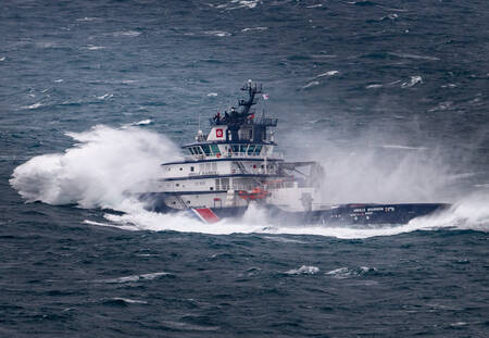 de bourbonbij de bourbonbij