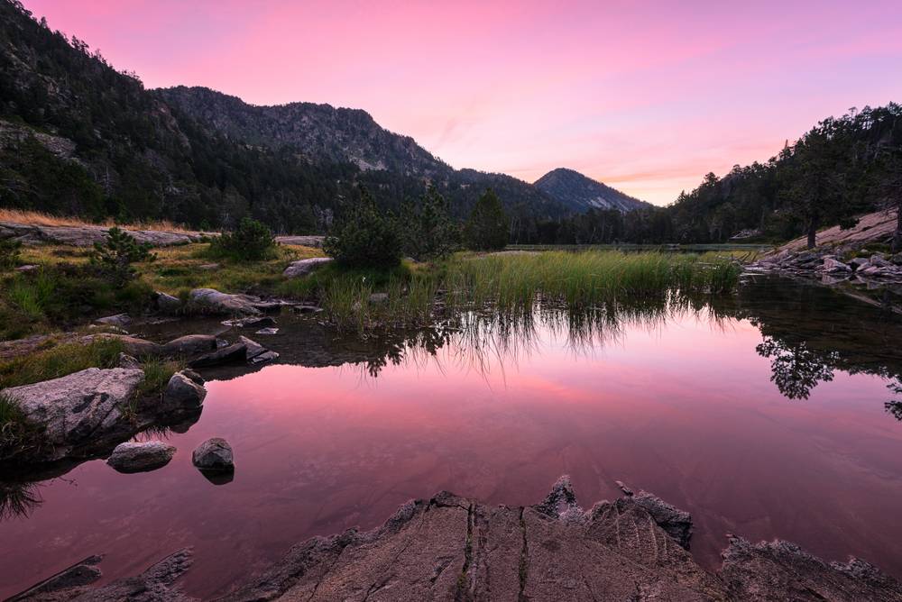 Natuurlijke schoonheid