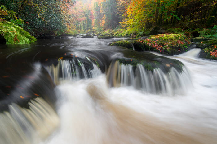 Balade en vallée de l'Ellé Balade en vallée de l'Ellé