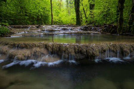 Le long de la rivière