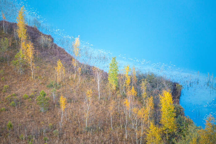 En bord de lac En bord de lac