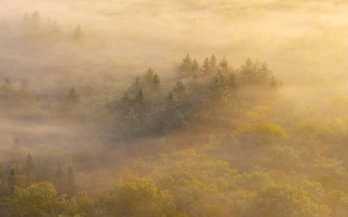Matin brumeux Matin brumeux