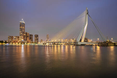 Erasmus Bridge-696