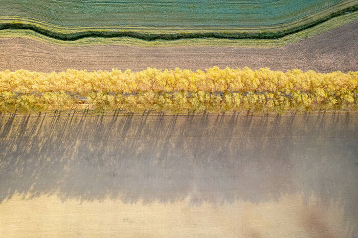 Autumn Lines Autumn Lines